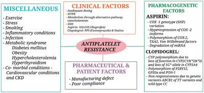 Biomarkers for Antiplatelet Therapies in Acute Ischemic Stroke: A Clinical Review